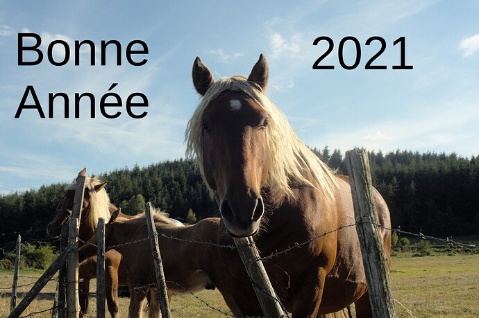 Bonne_Année_2021
