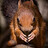 Escroc.du.pixel